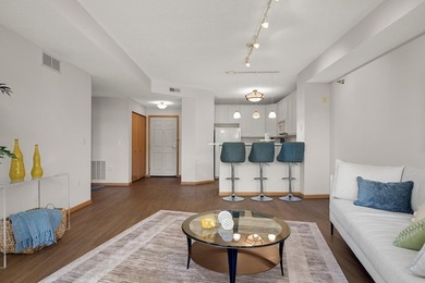 Move right into this beautifully updated top-floor North Loop - photo 6