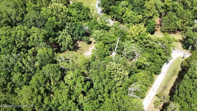 ***BUILD YOUR DREAM HOME HERE...Tucked away on approximately 3 - photo 17