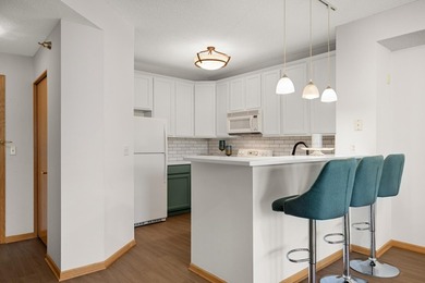 Move right into this beautifully updated top-floor North Loop - photo 7