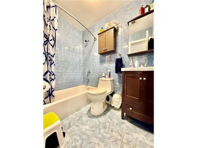 Totally renovated and stunning fully detached Victorian home in - photo 18