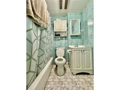 Totally renovated and stunning fully detached Victorian home in - photo 25