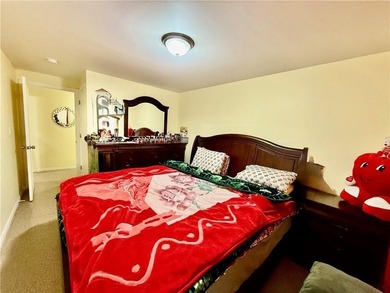 Totally renovated and stunning fully detached Victorian home in - photo 26