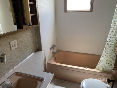 Wow, this 2-bedroom, 1.5 bath home has a HUGE 2 car garage with - photo 9