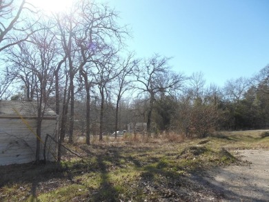 Lake Lot For Sale in Murchison, Texas