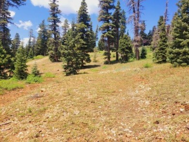 Navajo Lake Lot For Sale in Duck Creek Village Utah