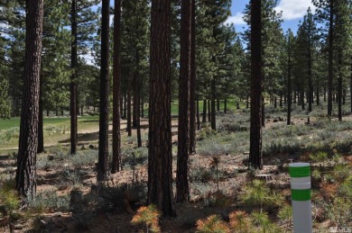 Lake Tahoe - Douglas County Acreage For Sale in Carson City Nevada