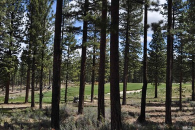 Clear Creek Tahoe is Northern Nevada's most exciting new - photo 2