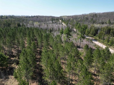 Lake Acreage Off Market in Hermansville, Michigan