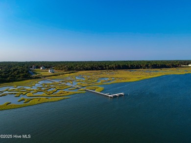 This gorgeous lot is located on the ICW just a hop skip and a - photo 12