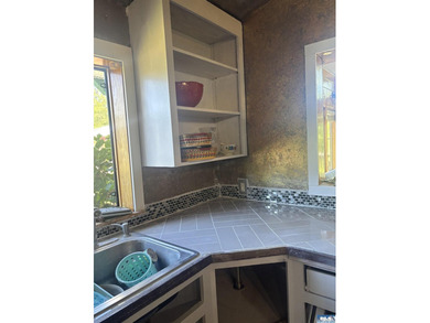 Rare 3.78 acre riverfront compound In the heart of the Olympic - photo 12
