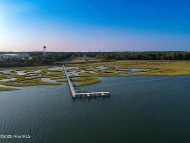 This gorgeous lot is located on the ICW just a hop skip and a - photo 13