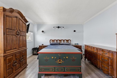 Welcome to 66 Kenny Avenue, located in one of Merrick's most - photo 16