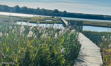 This gorgeous lot is located on the ICW just a hop skip and a - photo 17
