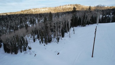 This is the last lot available in West Village under $100,000 at - photo 22