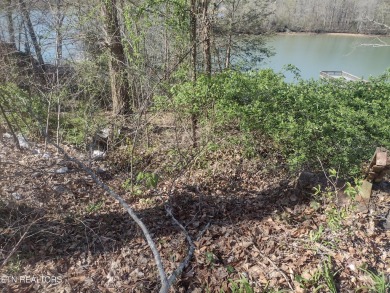 Lake Lot Sale Pending in Harriman, Tennessee