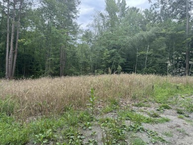 Lake Lot Sale Pending in Newport, Vermont