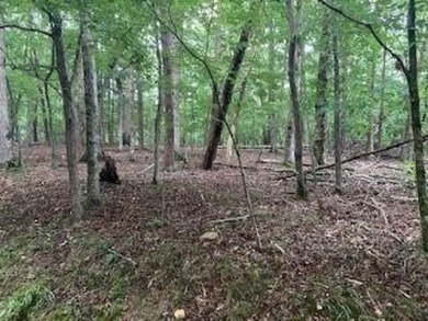 Lake Lot For Sale in Jasper, Georgia