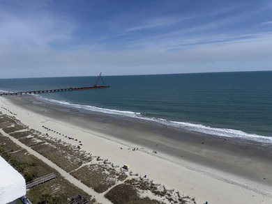 Experience breathtaking oceanfront living from the 17th floor of - photo 4