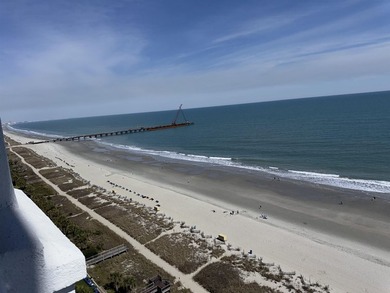 Experience breathtaking oceanfront living from the 17th floor of - photo 5