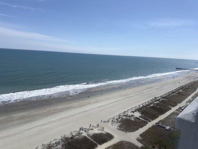 Experience breathtaking oceanfront living from the 17th floor of - photo 6