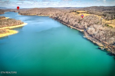 Lake Lot For Sale in Andersonville, Tennessee