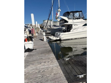 Amazing opportunity to own slip G19 at The Ashley Harborage - photo 2