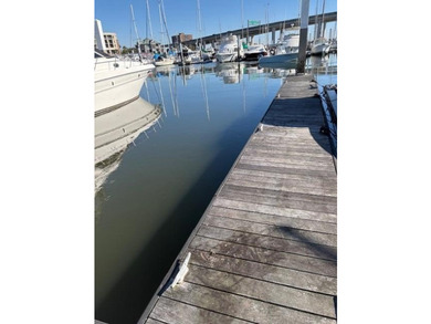 Amazing opportunity to own slip G19 at The Ashley Harborage - photo 3