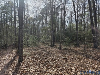 Discover your own private sanctuary on this stunning 14.41-acre - photo 3