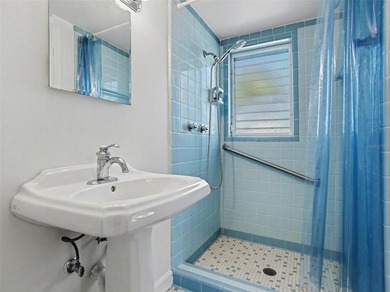 Located less than five minutes from the heart of downtown Mount - photo 21