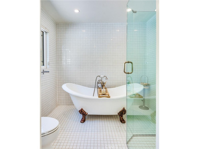 Captivating ?Ocean and Catalina Island views await you in this - photo 23