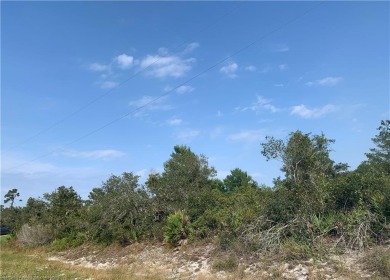 Lake Lot For Sale in Lake Placid, Florida