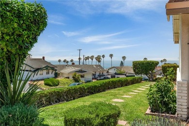 Captivating ?Ocean and Catalina Island views await you in this - photo 35