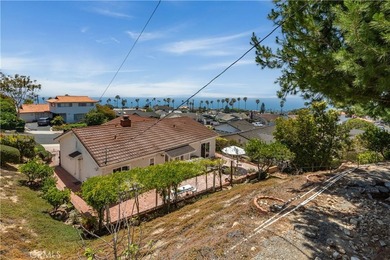 Captivating ?Ocean and Catalina Island views await you in this - photo 43
