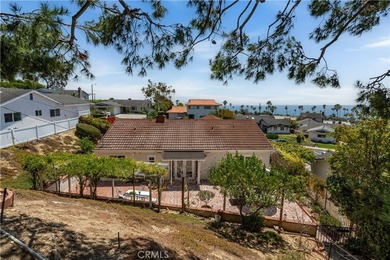 Captivating ?Ocean and Catalina Island views await you in this - photo 45