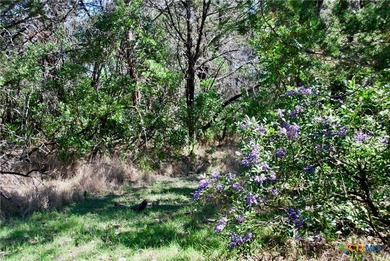 A Hill Country retreat on 6+ acres in Mountain Laurel Estates - photo 5