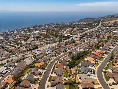 Captivating ?Ocean and Catalina Island views await you in this - photo 49