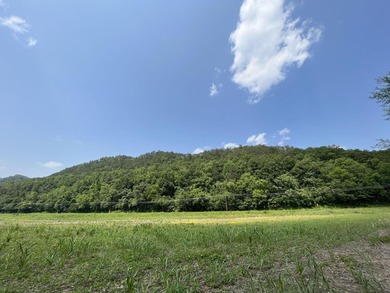 French Broad River Acreage For Sale in Del Rio Tennessee