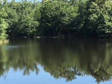Woodsy Retreat on Private Lake - photo 2