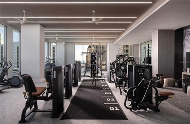 Introducing the Penthouse Collection at Art House St Pete.  The - photo 12