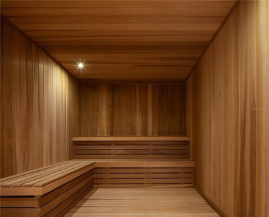 Introducing the Penthouse Collection at Art House St Pete.  The - photo 18