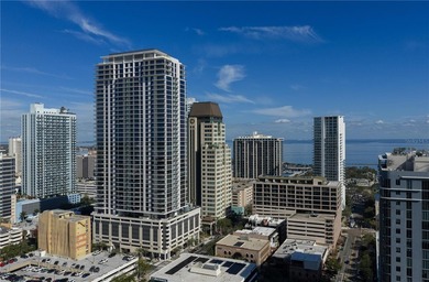Introducing the Penthouse Collection at Art House St Pete.  The - photo 22