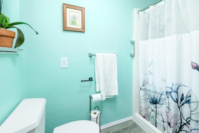 This property is perfect for those with hobbies - from - photo 37