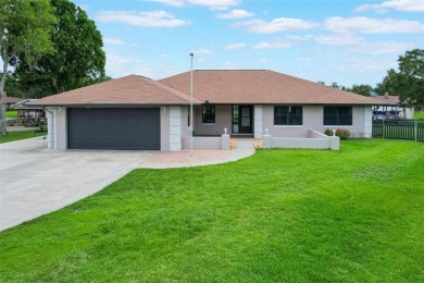 Lake Home For Sale in Tavares, Florida