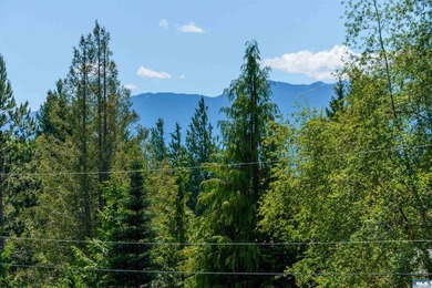 This property is perfect for those with hobbies - from - photo 43
