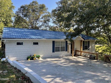 (private lake, pond, creek) Home For Sale in Sevierville Tennessee