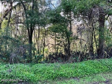 St. Johns River Lot For Sale in Jacksonville Florida
