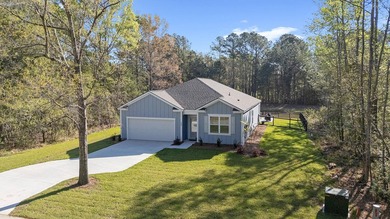 (private lake, pond, coastal) Home For Sale in Yemassee South Carolina