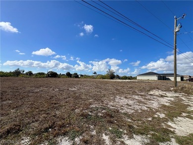 Exclusive Waterfront Opportunity in Cape Coral, Florida Discover - photo 2