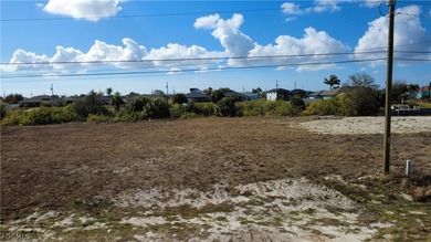 Exclusive Waterfront Opportunity in Cape Coral, Florida Discover - photo 3