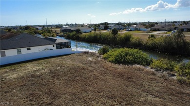 Exclusive Waterfront Opportunity in Cape Coral, Florida Discover - photo 9